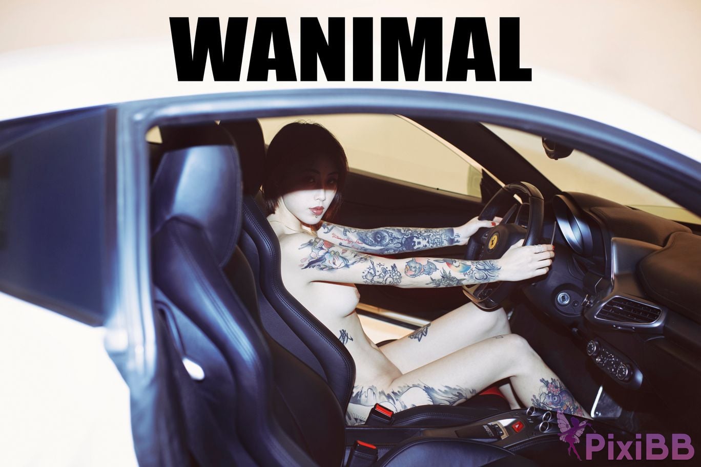 WANIMAL Wang Dong VIP Set of pictures Official product No.06 PixiBB.COM 092