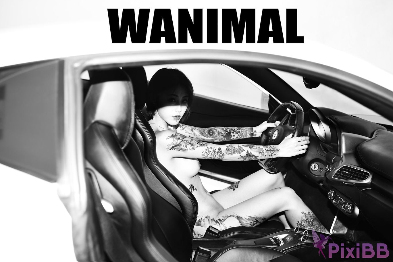 WANIMAL Wang Dong VIP Set of pictures Official product No.06 PixiBB.COM 098