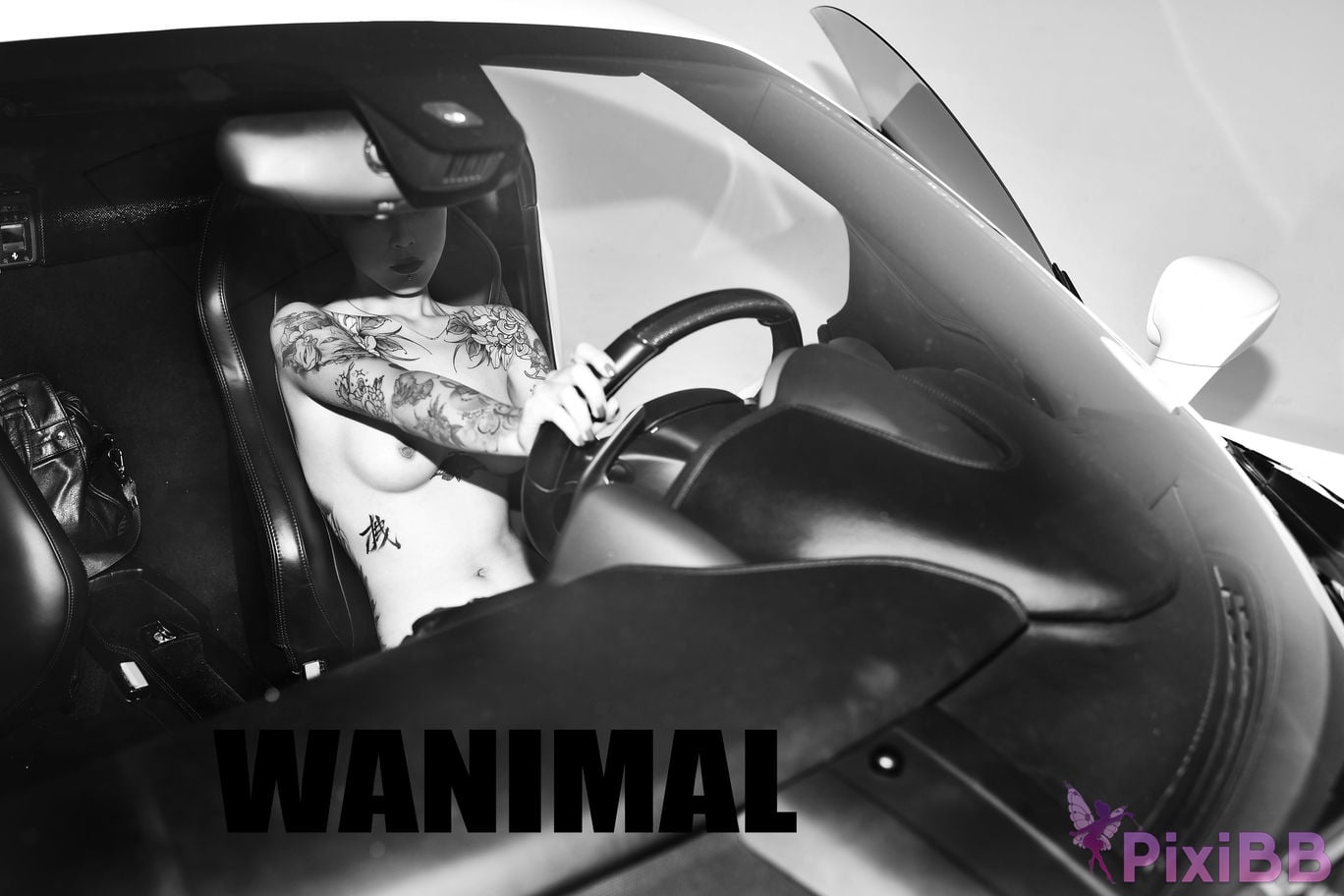 WANIMAL Wang Dong VIP Set of pictures Official product No.06 PixiBB.COM 099
