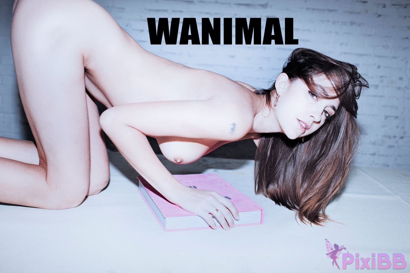 WANIMAL Wang Dong VIP Set of pictures Official product No.06 PixiBB.COM 101