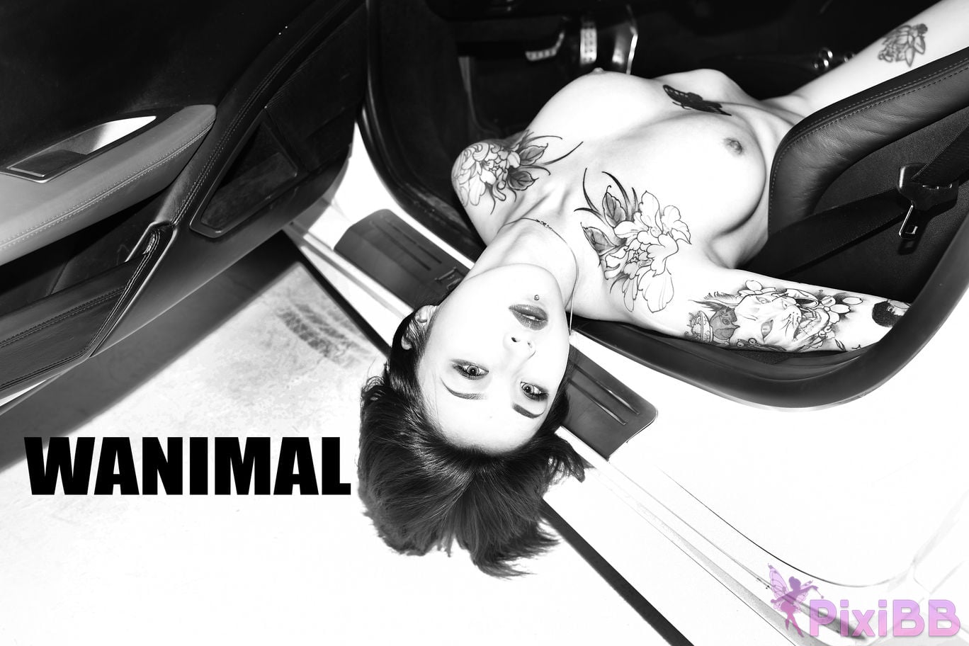 WANIMAL Wang Dong VIP Set of pictures Official product No.06 PixiBB.COM 103