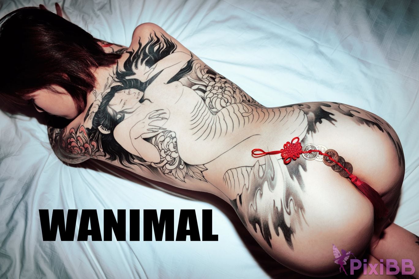 WANIMAL Wang Dong VIP Set of pictures Official product No.06 PixiBB.COM 106