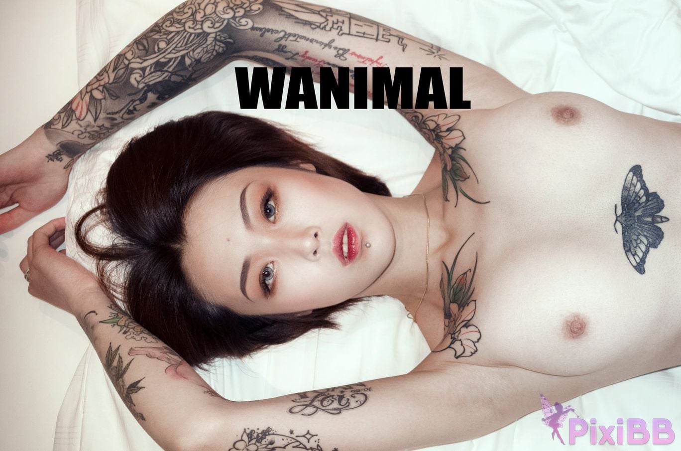 WANIMAL Wang Dong VIP Set of pictures Official product No.06 PixiBB.COM 107