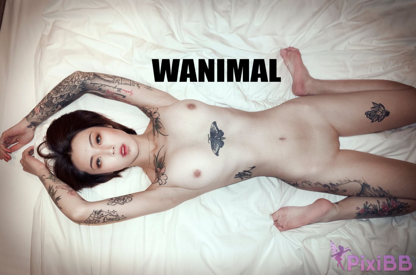 WANIMAL Wang Dong VIP Set of pictures Official product No.06 PixiBB.COM 108