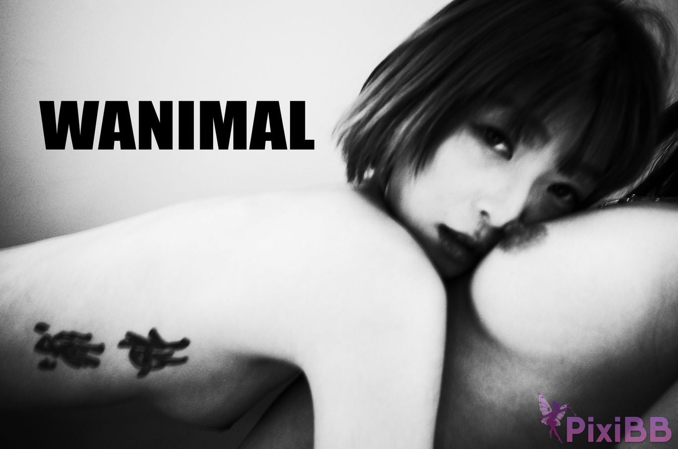 WANIMAL Wang Dong VIP Set of pictures Official product No.06 PixiBB.COM 147