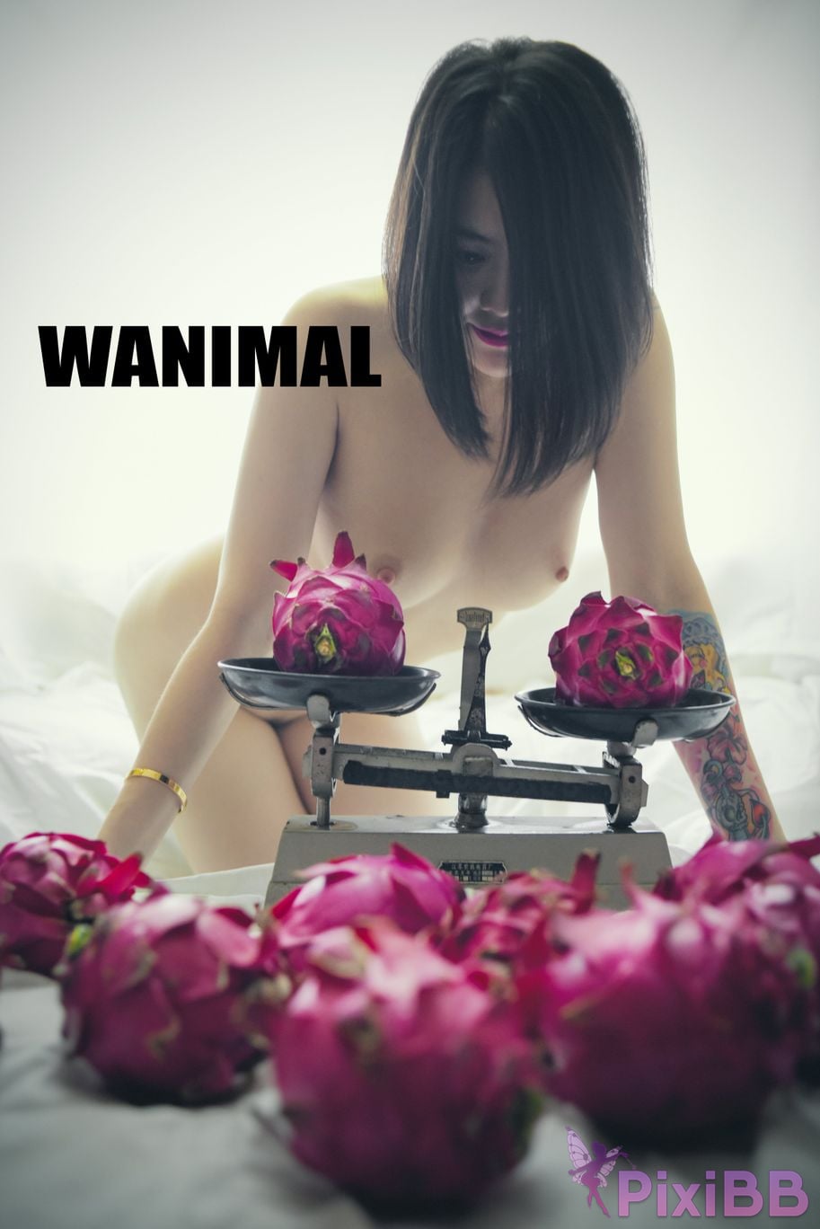 WANIMAL Wang Dong VIP Set of pictures Official product No.05 PixiBB.COM 005