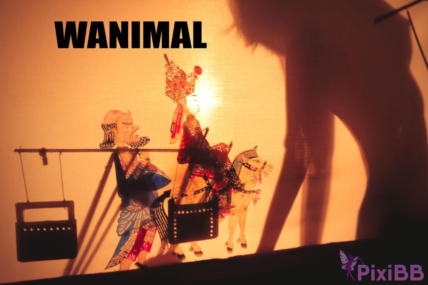 WANIMAL Wang Dong VIP Set of pictures Official product No.05 PixiBB.COM 021