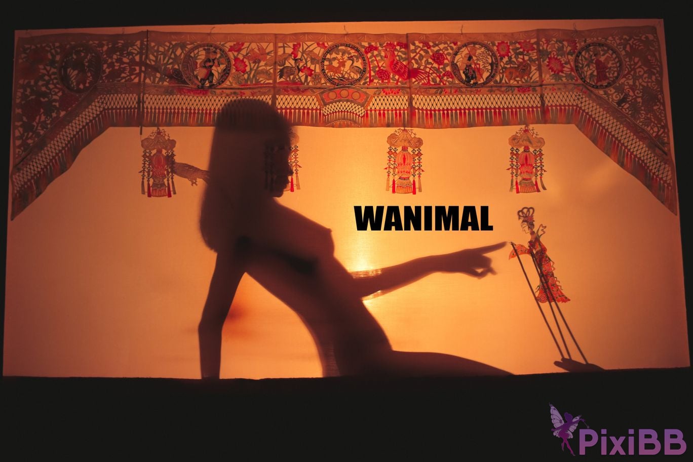 WANIMAL Wang Dong VIP Set of pictures Official product No.05 PixiBB.COM 024
