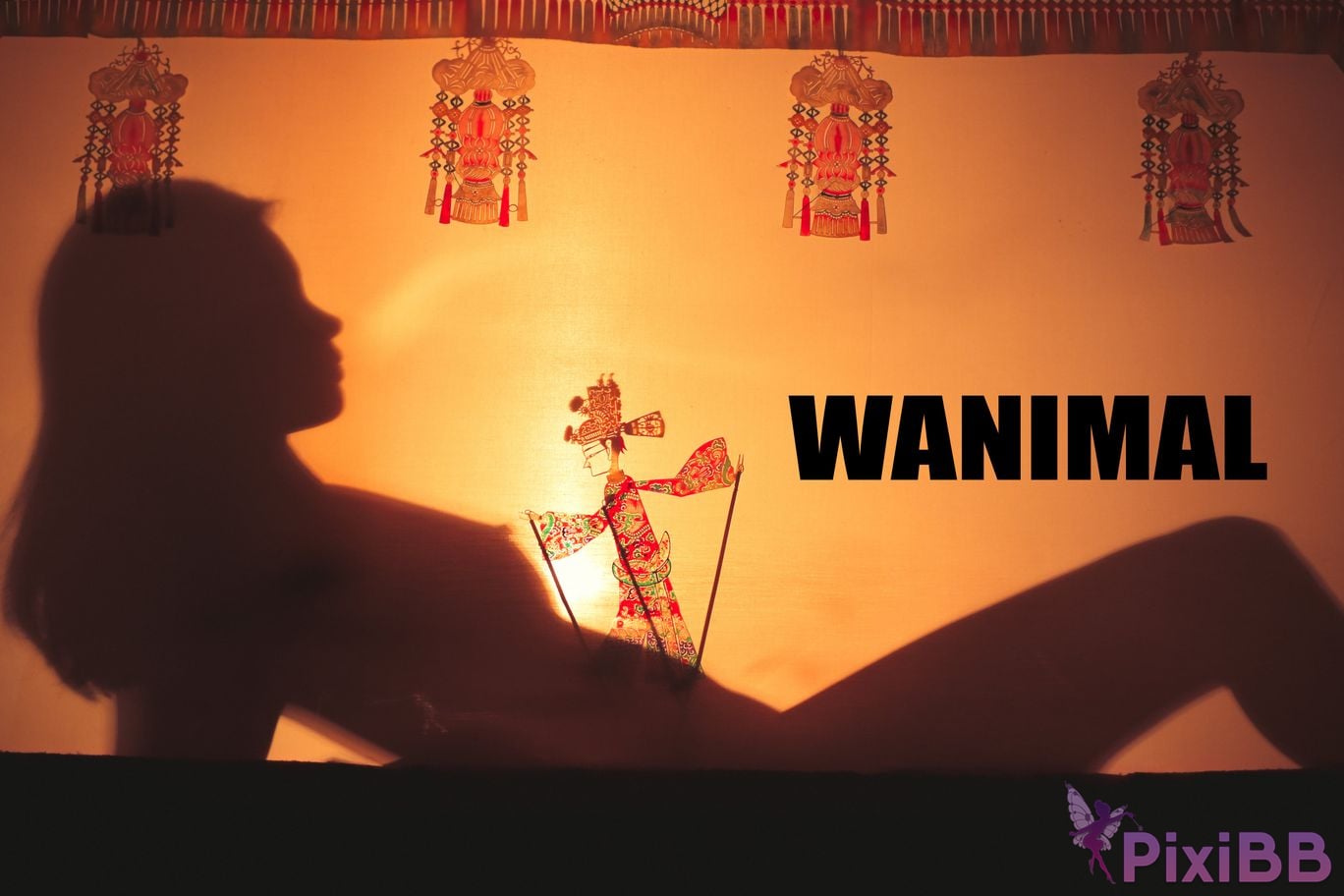 WANIMAL Wang Dong VIP Set of pictures Official product No.05 PixiBB.COM 025