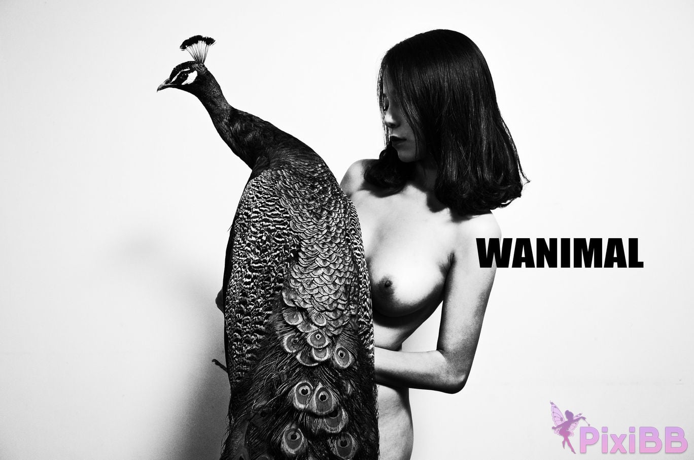 WANIMAL Wang Dong VIP Set of pictures Official product No.05 PixiBB.COM 035