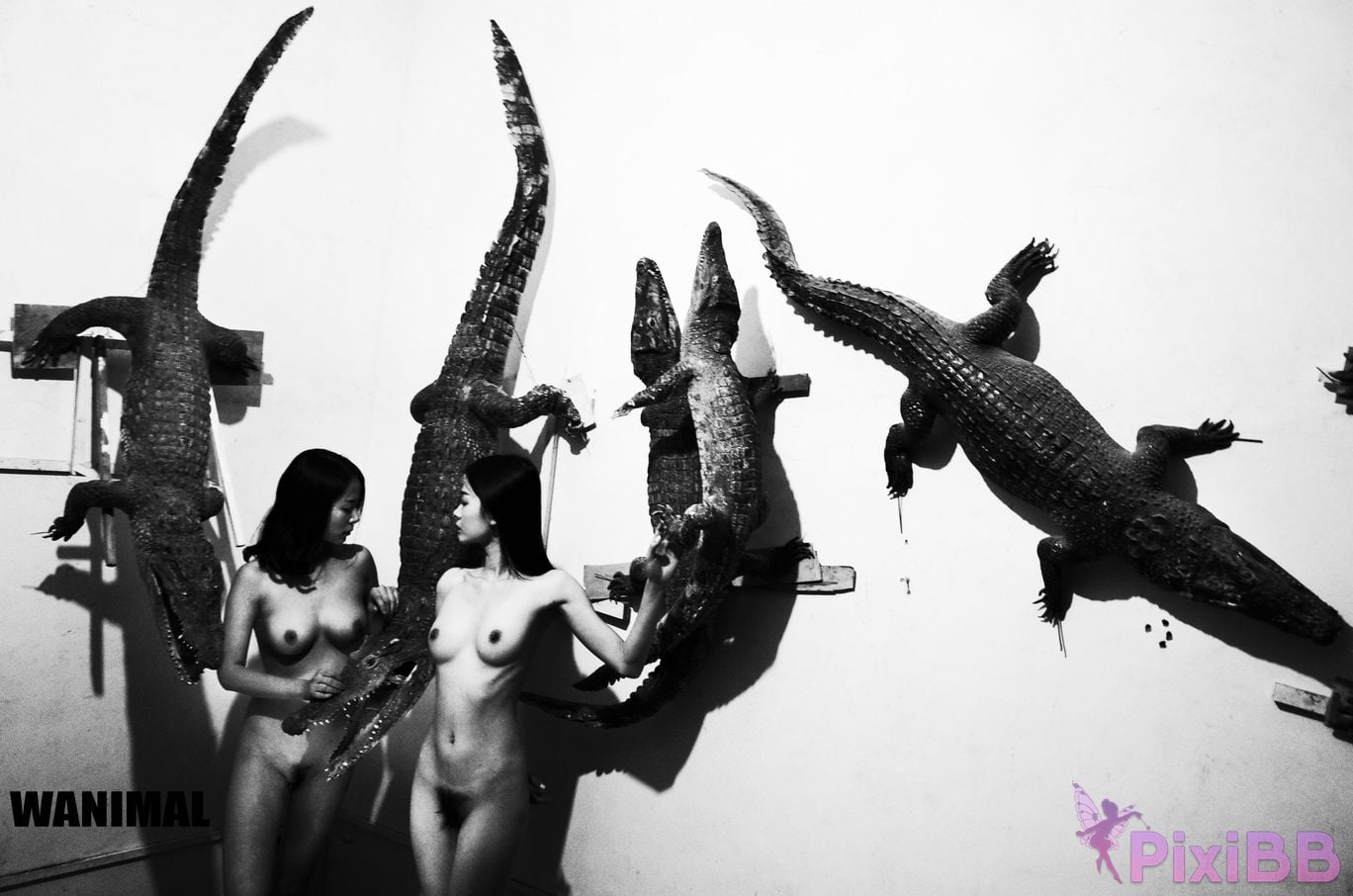 WANIMAL Wang Dong VIP Set of pictures Official product No.05 PixiBB.COM 040