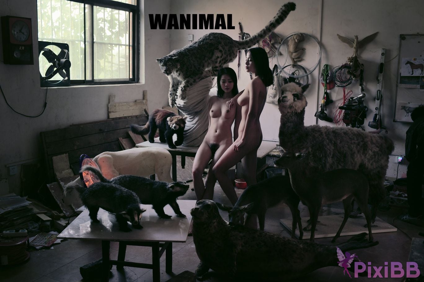 WANIMAL Wang Dong VIP Set of pictures Official product No.05 PixiBB.COM 041