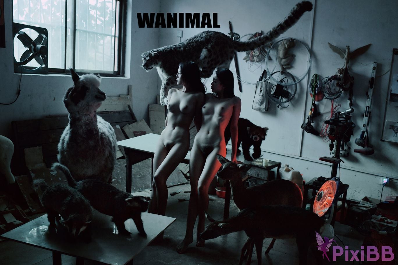 WANIMAL Wang Dong VIP Set of pictures Official product No.05 PixiBB.COM 042