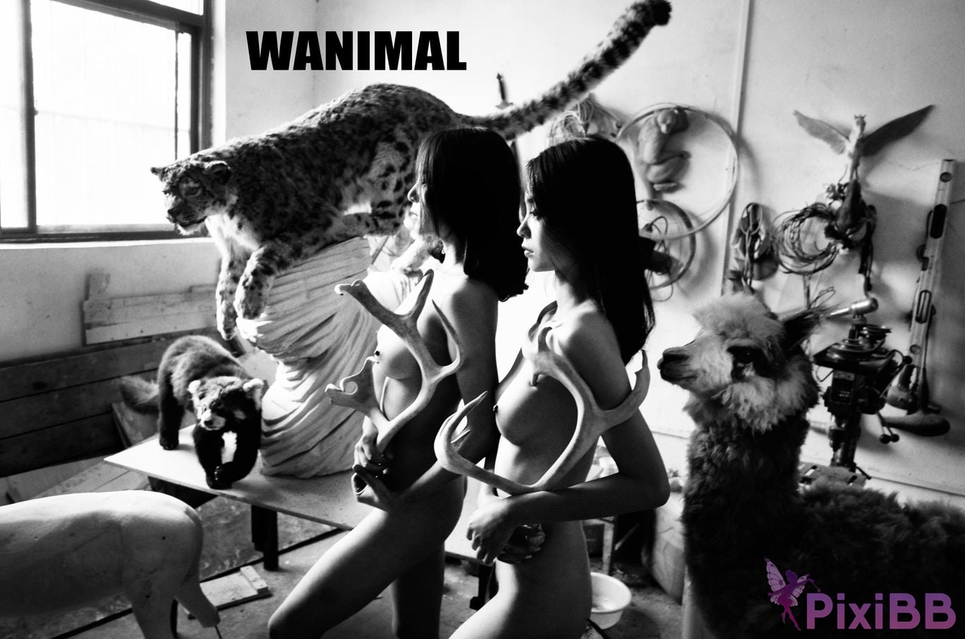 WANIMAL Wang Dong VIP Set of pictures Official product No.05 PixiBB.COM 043