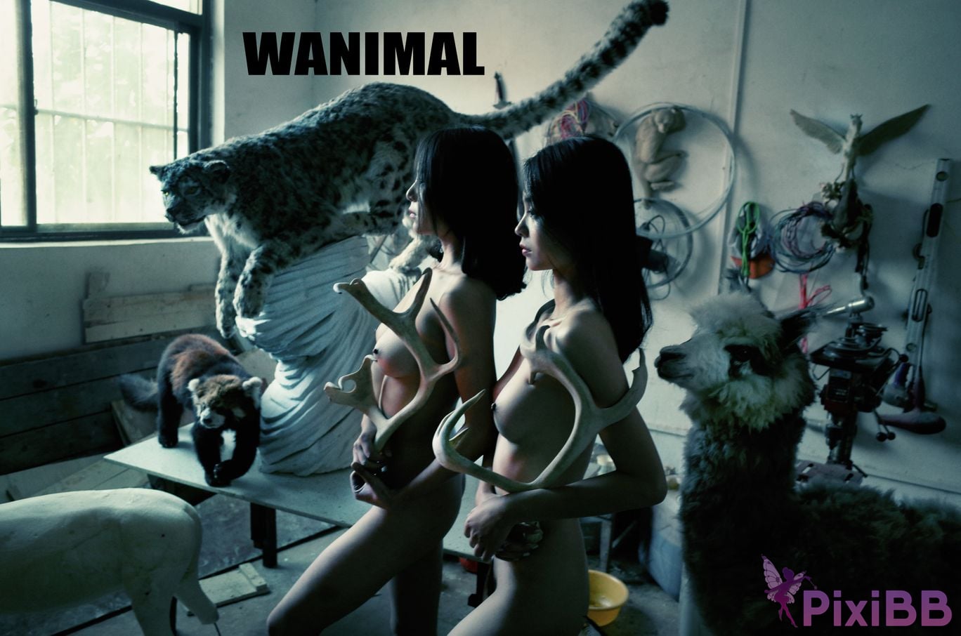 WANIMAL Wang Dong VIP Set of pictures Official product No.05 PixiBB.COM 045