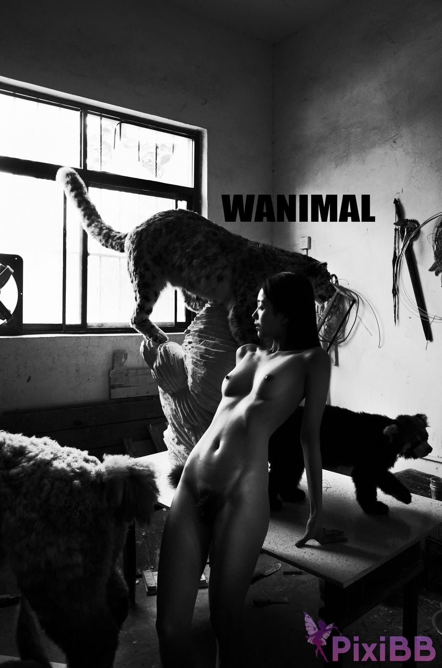 WANIMAL Wang Dong VIP Set of pictures Official product No.05 PixiBB.COM 048