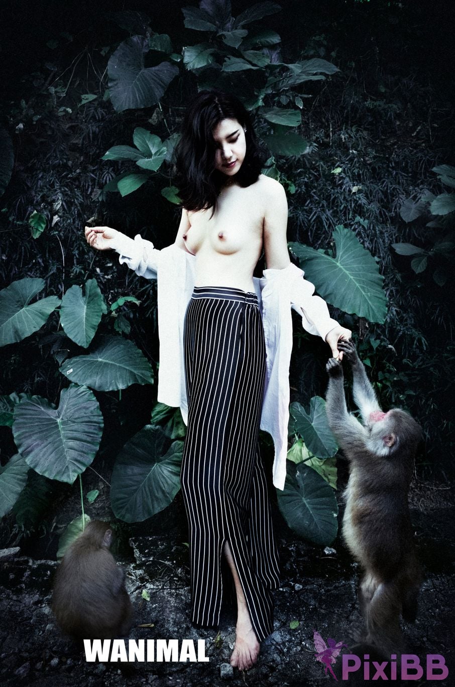 WANIMAL Wang Dong VIP Set of pictures Official product No.05 PixiBB.COM 100