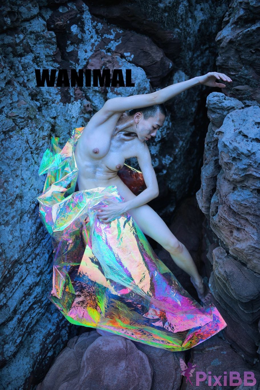 WANIMAL Wang Dong VIP Set of pictures Official product No.05 PixiBB.COM 112