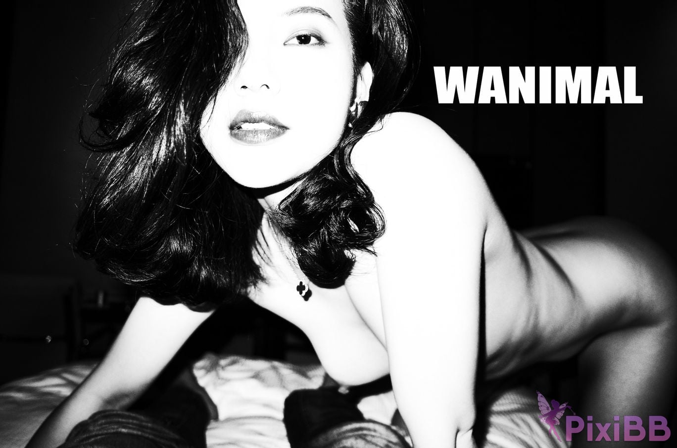 WANIMAL Wang Dong VIP Set of pictures Official product No.05 PixiBB.COM 133