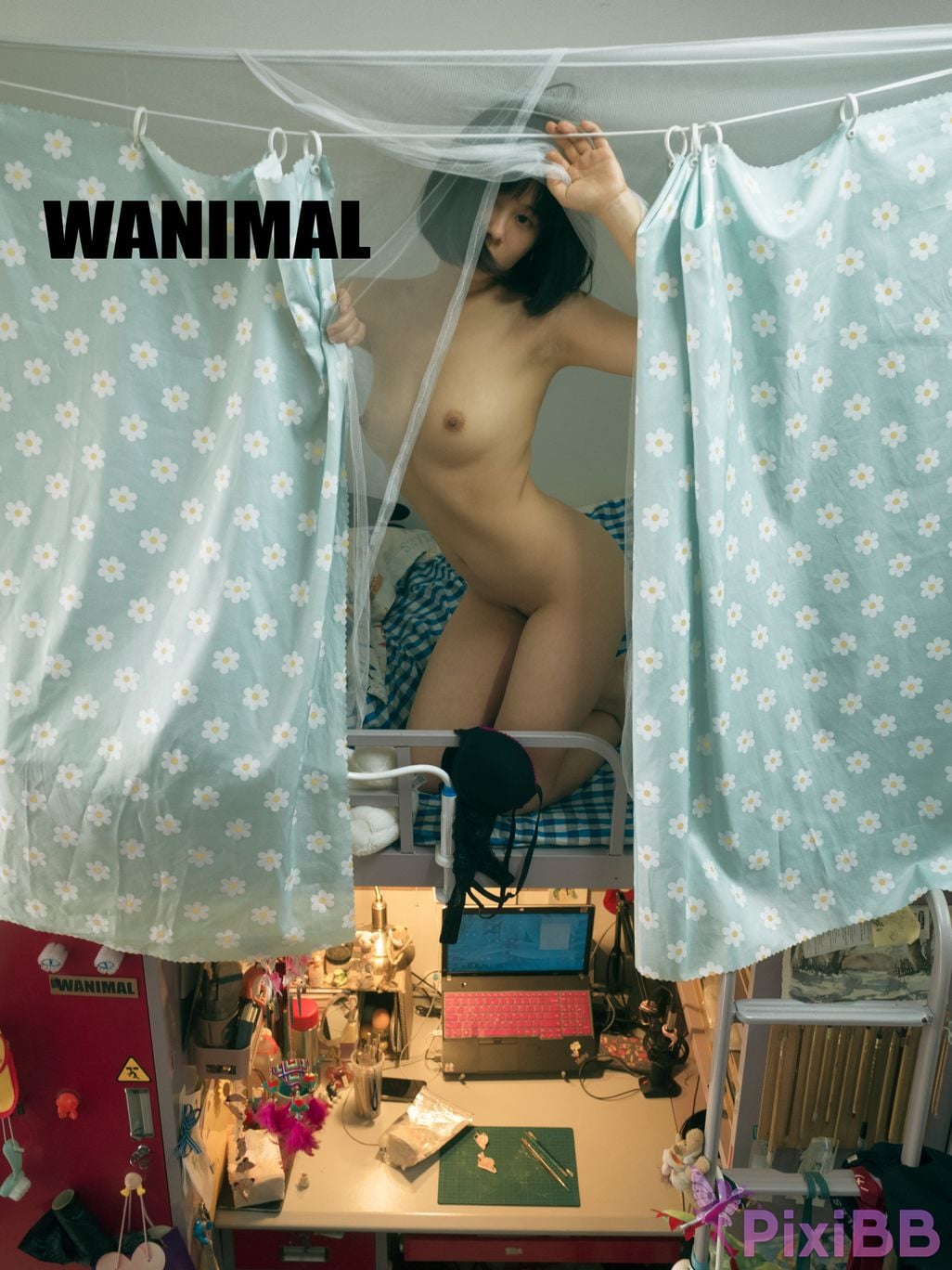WANIMAL Wang Dong VIP Set of pictures Official product No.04 PixiBB.COM 001