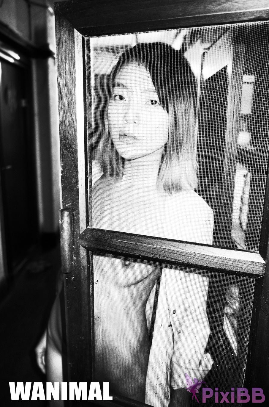WANIMAL Wang Dong VIP Set of pictures Official product No.04 PixiBB.COM 022