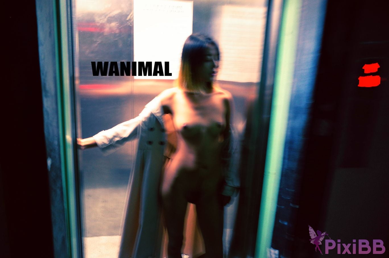 WANIMAL Wang Dong VIP Set of pictures Official product No.04 PixiBB.COM 029