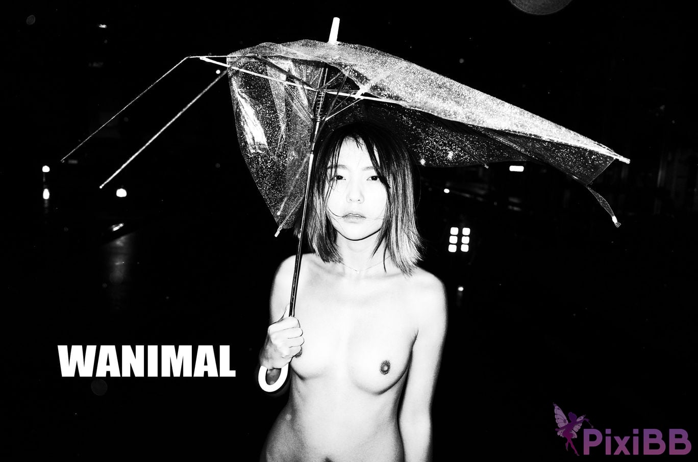 WANIMAL Wang Dong VIP Set of pictures Official product No.04 PixiBB.COM 034