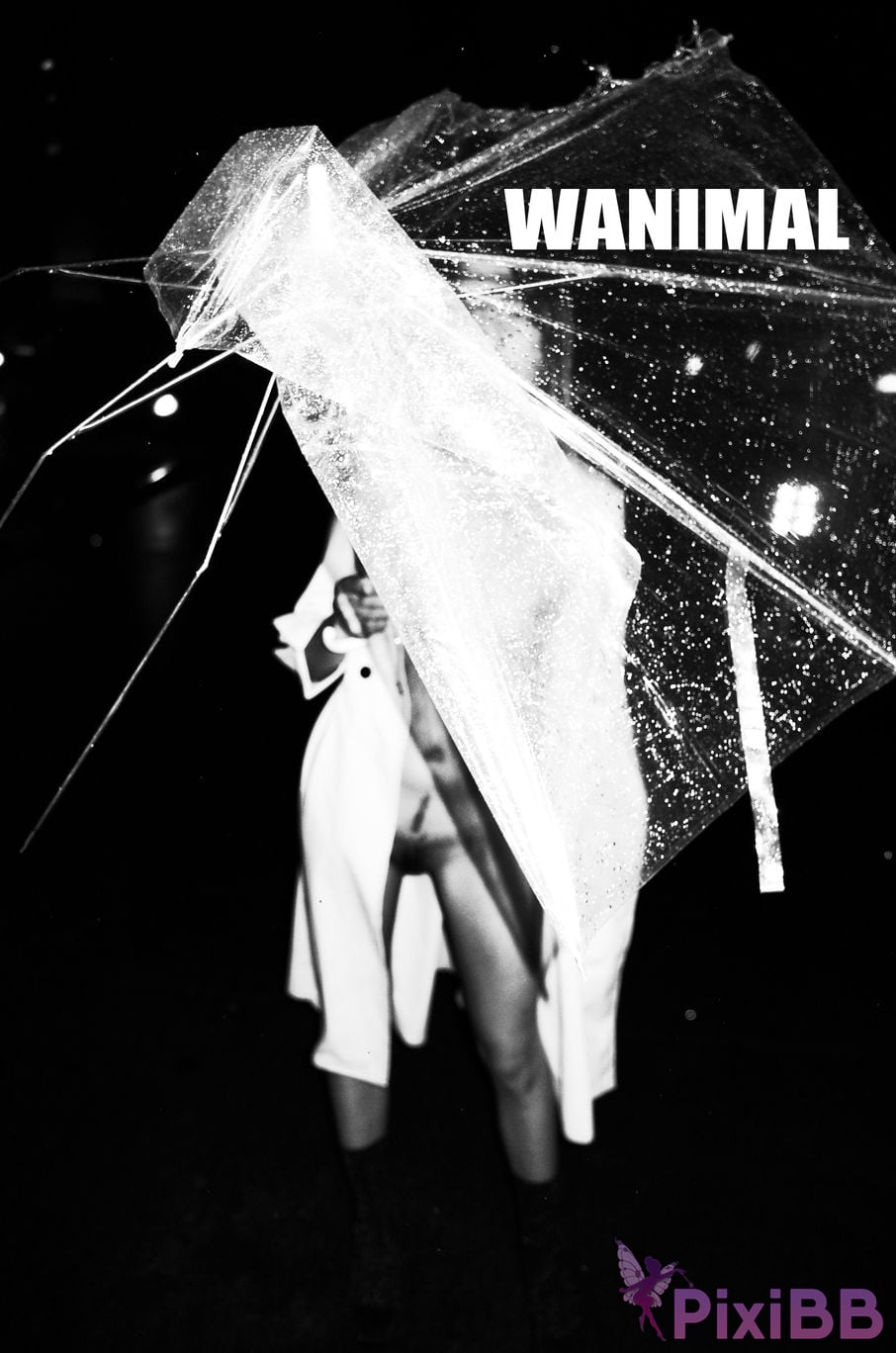 WANIMAL Wang Dong VIP Set of pictures Official product No.04 PixiBB.COM 038