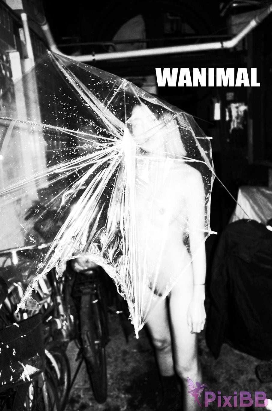 WANIMAL Wang Dong VIP Set of pictures Official product No.04 PixiBB.COM 039
