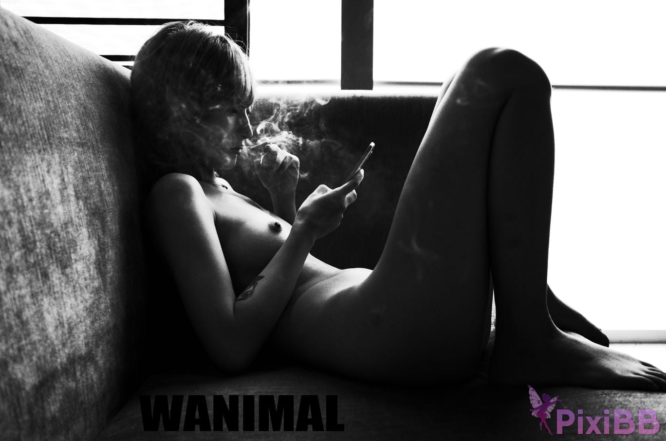 WANIMAL Wang Dong VIP Set of pictures Official product No.04 PixiBB.COM 043