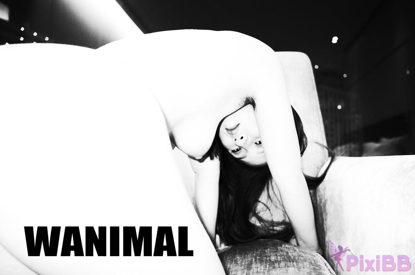 WANIMAL Wang Dong VIP Set of pictures Official product No.04 PixiBB.COM 044