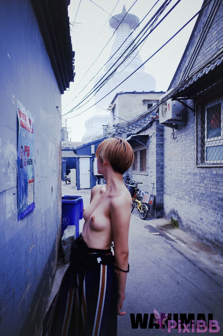 WANIMAL Wang Dong VIP Set of pictures Official product No.04 PixiBB.COM 099
