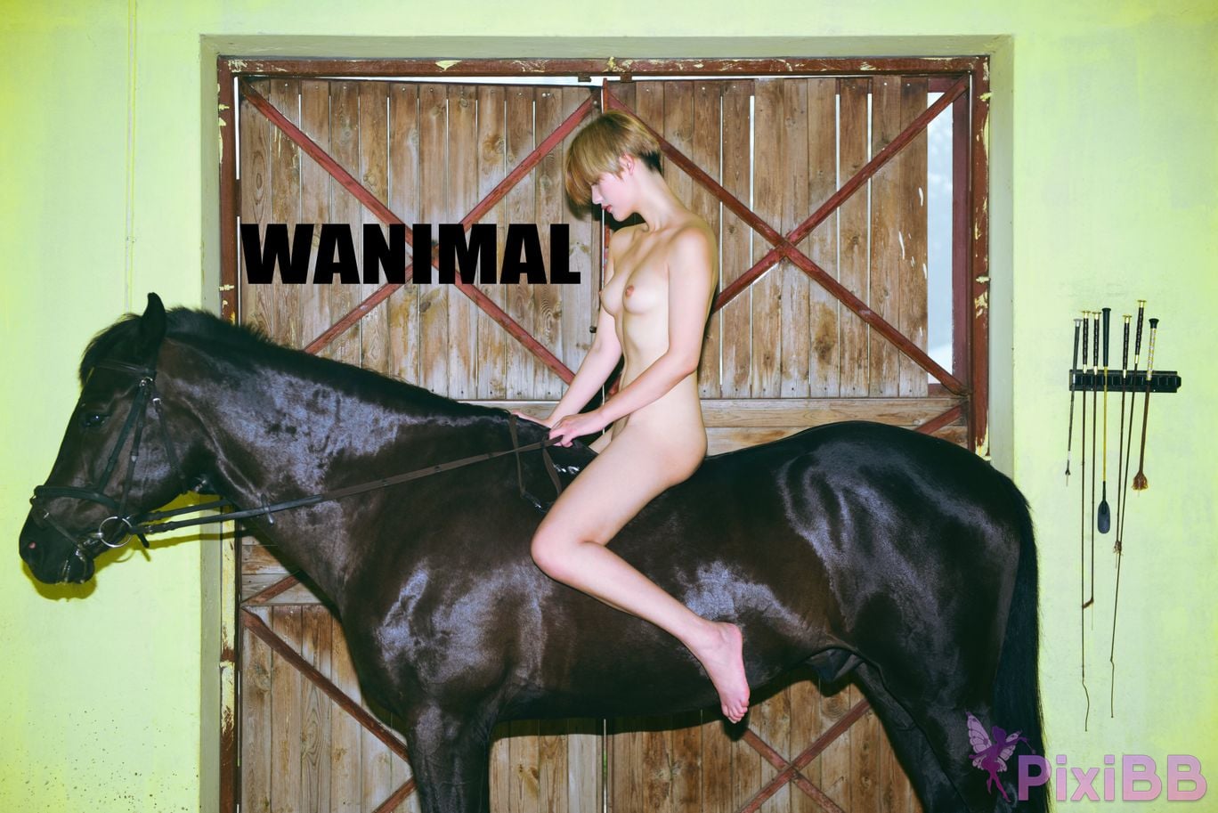 WANIMAL Wang Dong VIP Set of pictures Official product No.04 PixiBB.COM 103