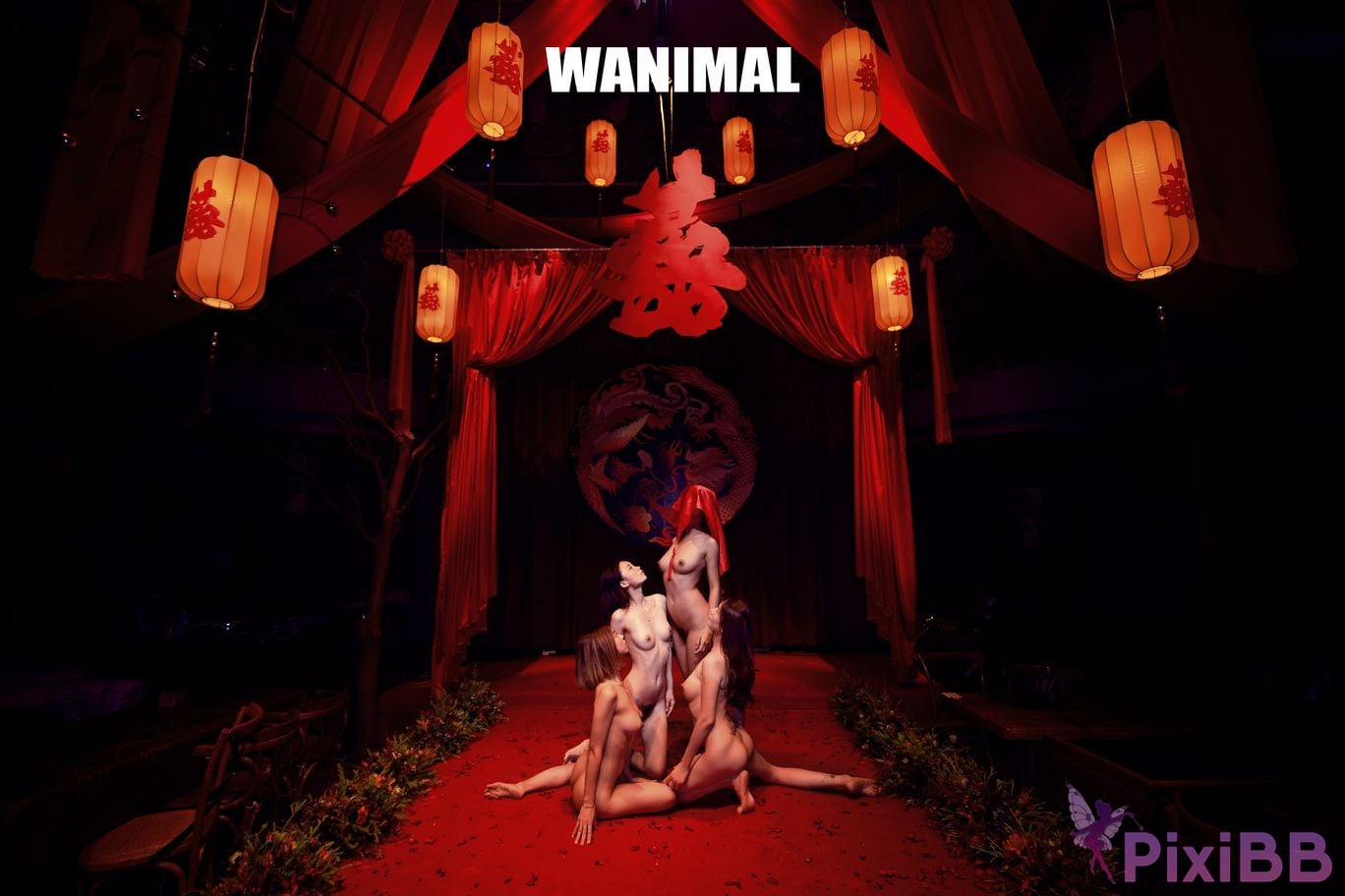 WANIMAL Wang Dong VIP Set of pictures Official product No.04 PixiBB.COM 110