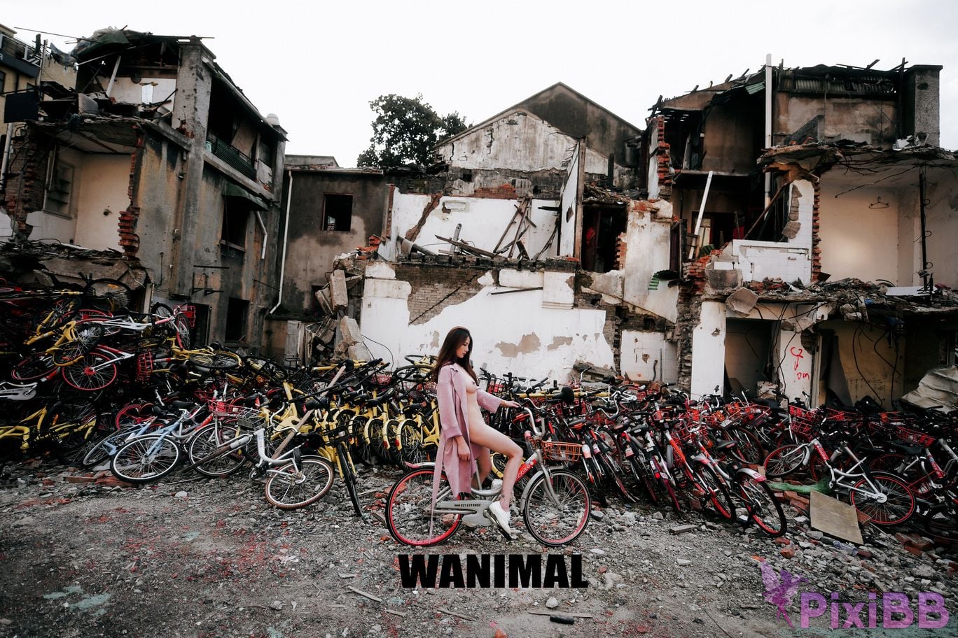 WANIMAL Wang Dong VIP Set of pictures Official product No.04 PixiBB.COM 111