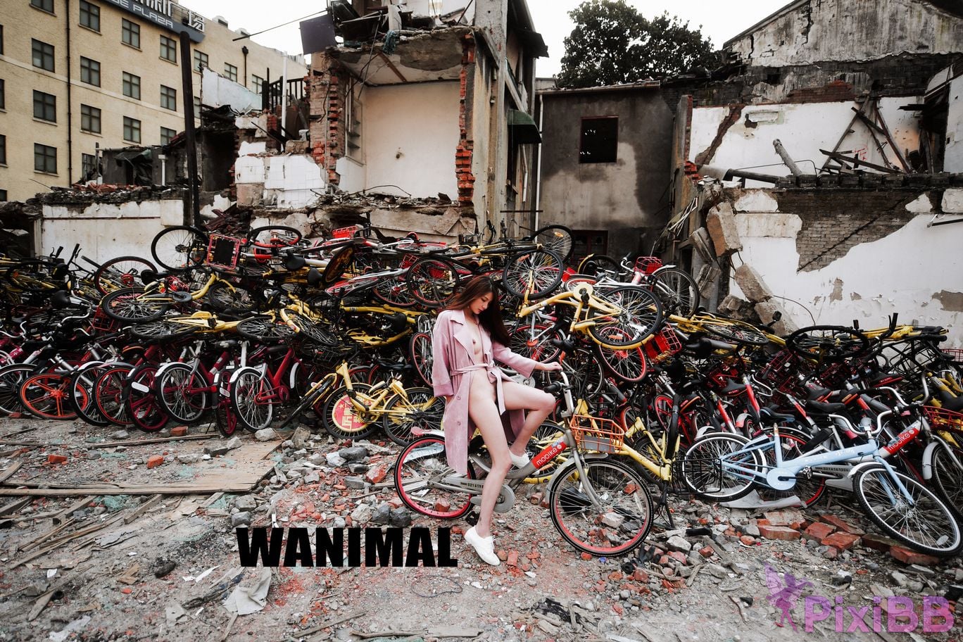 WANIMAL Wang Dong VIP Set of pictures Official product No.04 PixiBB.COM 112