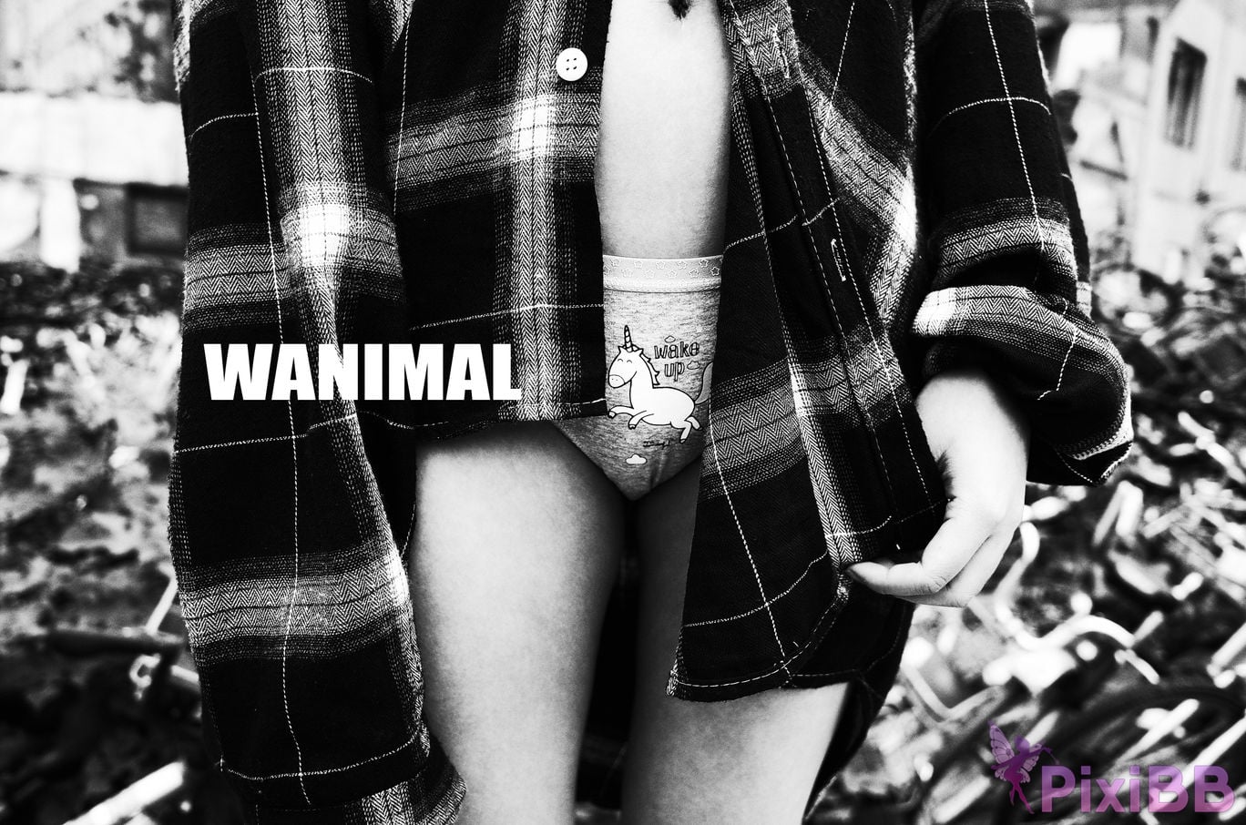 WANIMAL Wang Dong VIP Set of pictures Official product No.04 PixiBB.COM 120