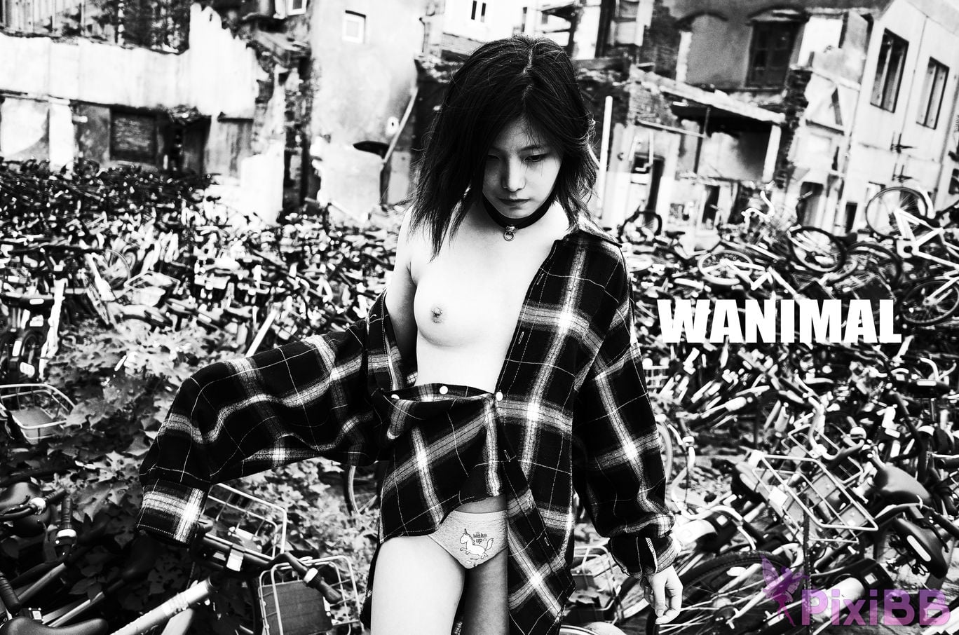 WANIMAL Wang Dong VIP Set of pictures Official product No.04 PixiBB.COM 122