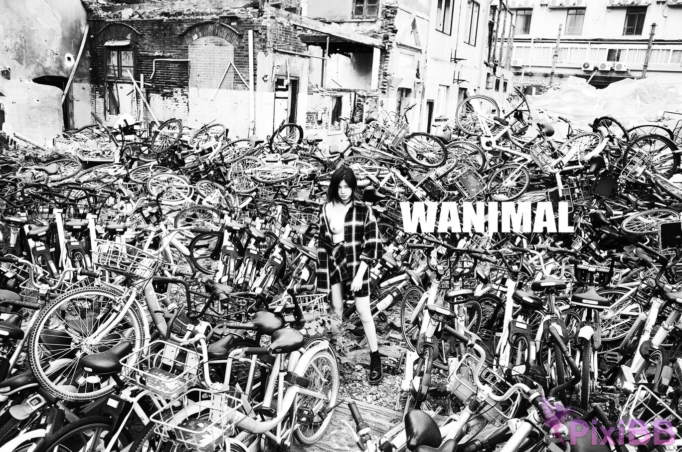 WANIMAL Wang Dong VIP Set of pictures Official product No.04 PixiBB.COM 123