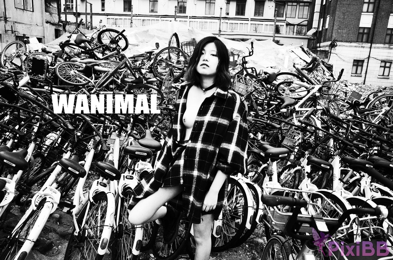 WANIMAL Wang Dong VIP Set of pictures Official product No.04 PixiBB.COM 124