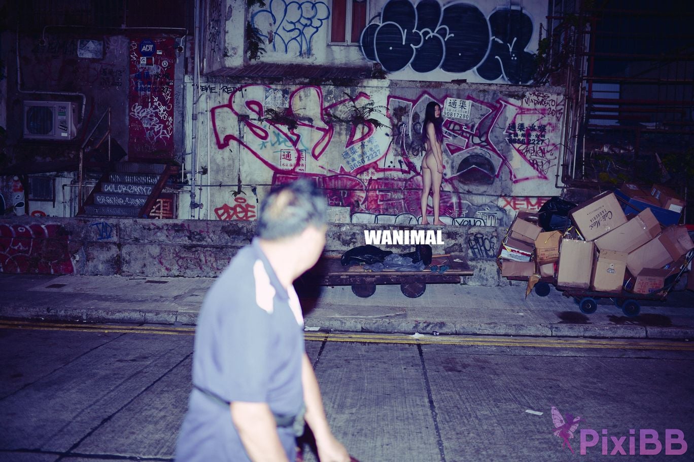 WANIMAL Wang Dong VIP Set of pictures Official product No.04 PixiBB.COM 129