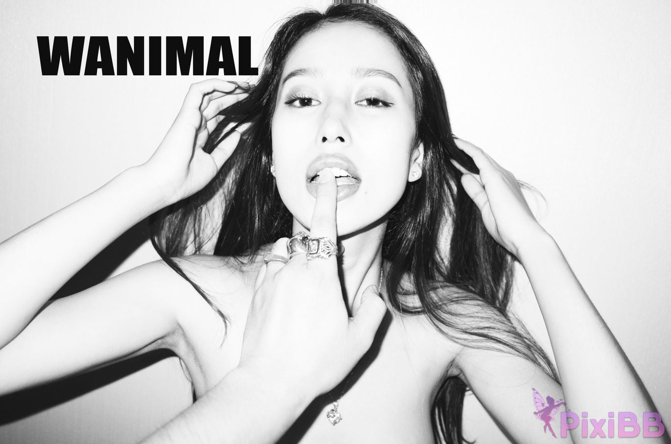 WANIMAL Wang Dong VIP Set of pictures Official product No.03 PixiBB.COM 012