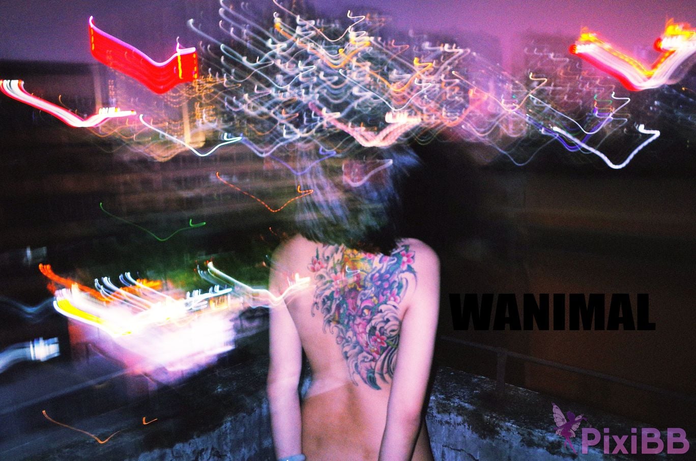 WANIMAL Wang Dong VIP Set of pictures Official product No.03 PixiBB.COM 020