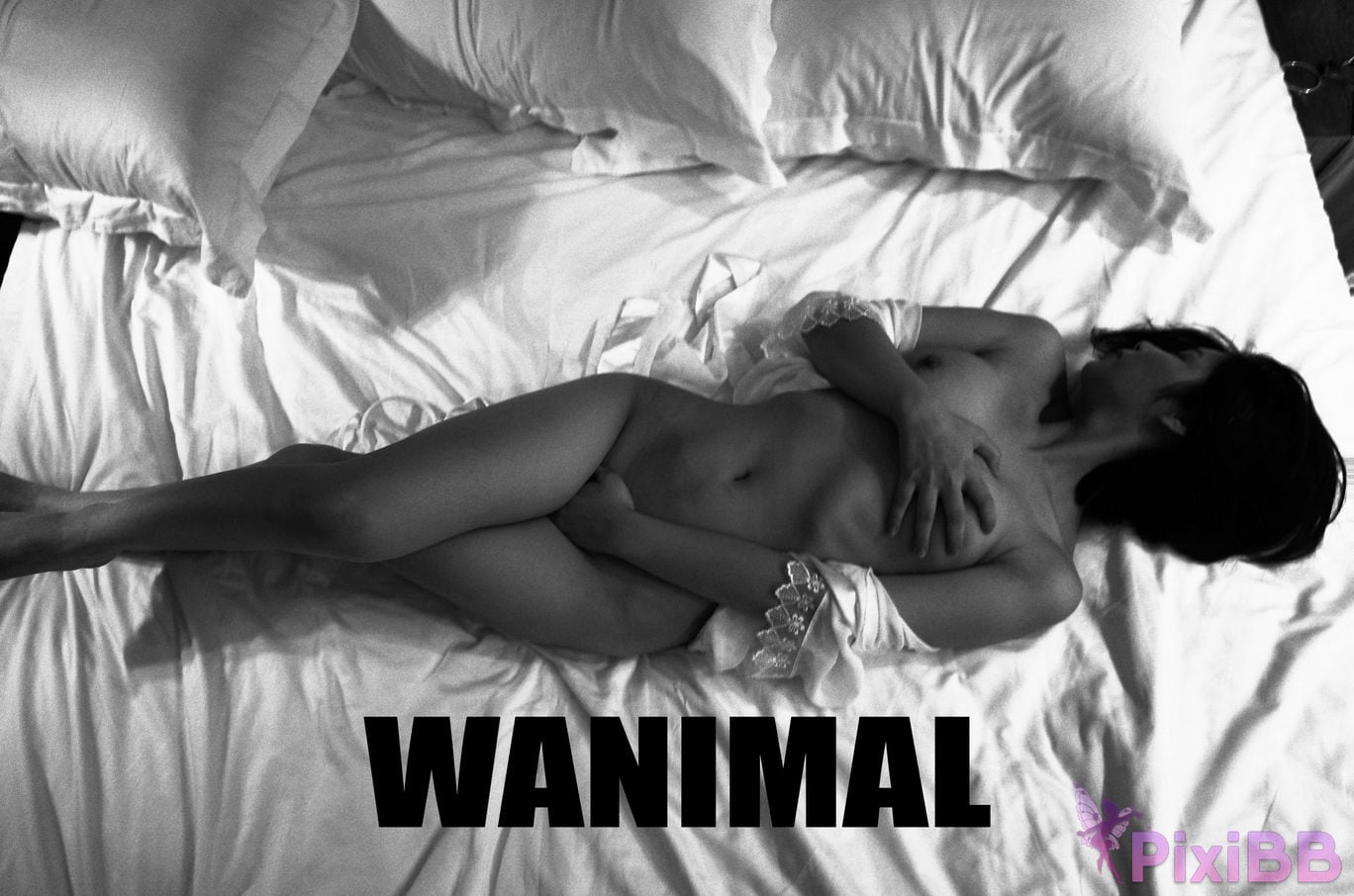 WANIMAL Wang Dong VIP Set of pictures Official product No.03 PixiBB.COM 023