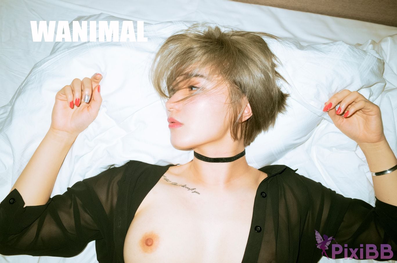 WANIMAL Wang Dong VIP Set of pictures Official product No.03 PixiBB.COM 031