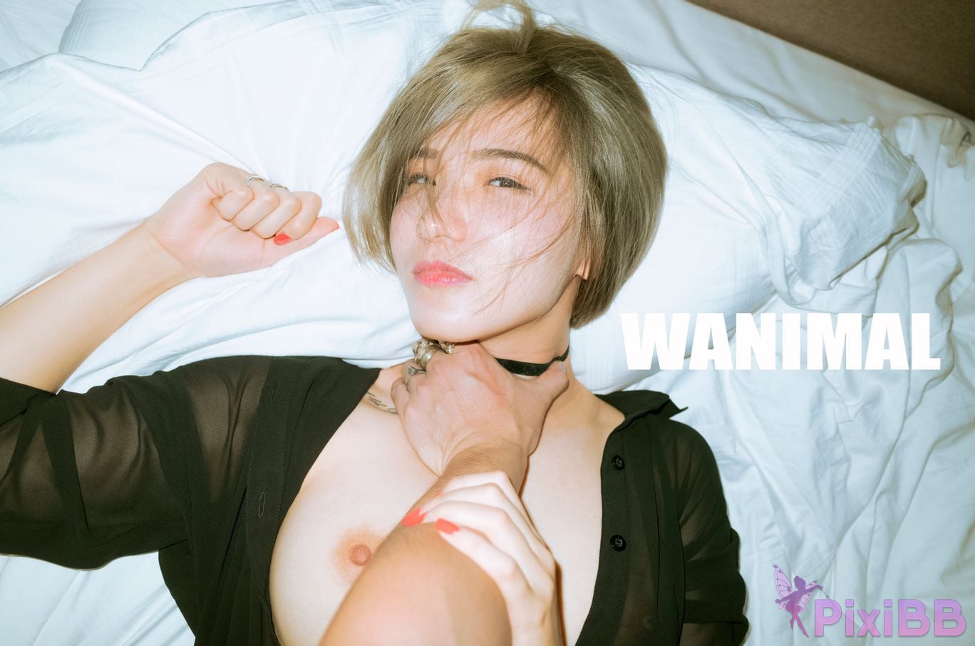 WANIMAL Wang Dong VIP Set of pictures Official product No.03 PixiBB.COM 032
