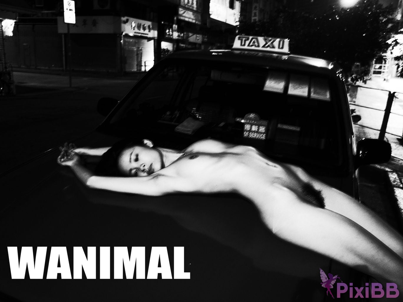 WANIMAL Wang Dong VIP Set of pictures Official product No.03 PixiBB.COM 081