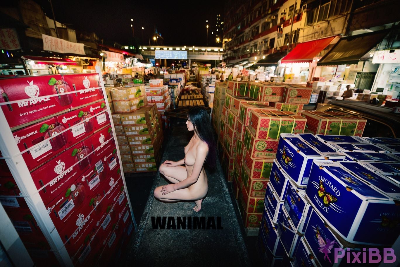 WANIMAL Wang Dong VIP Set of pictures Official product No.03 PixiBB.COM 089