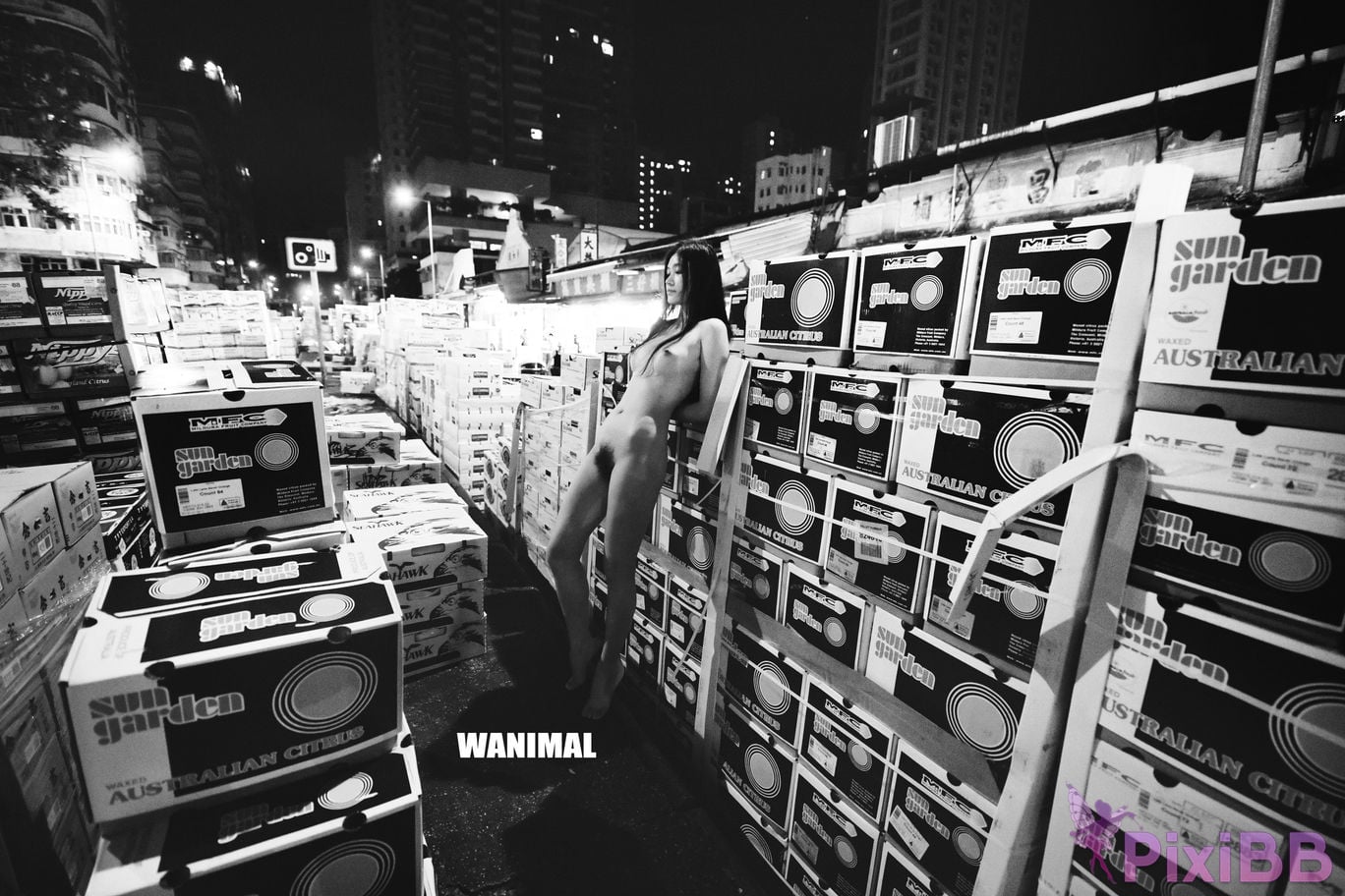 WANIMAL Wang Dong VIP Set of pictures Official product No.03 PixiBB.COM 091