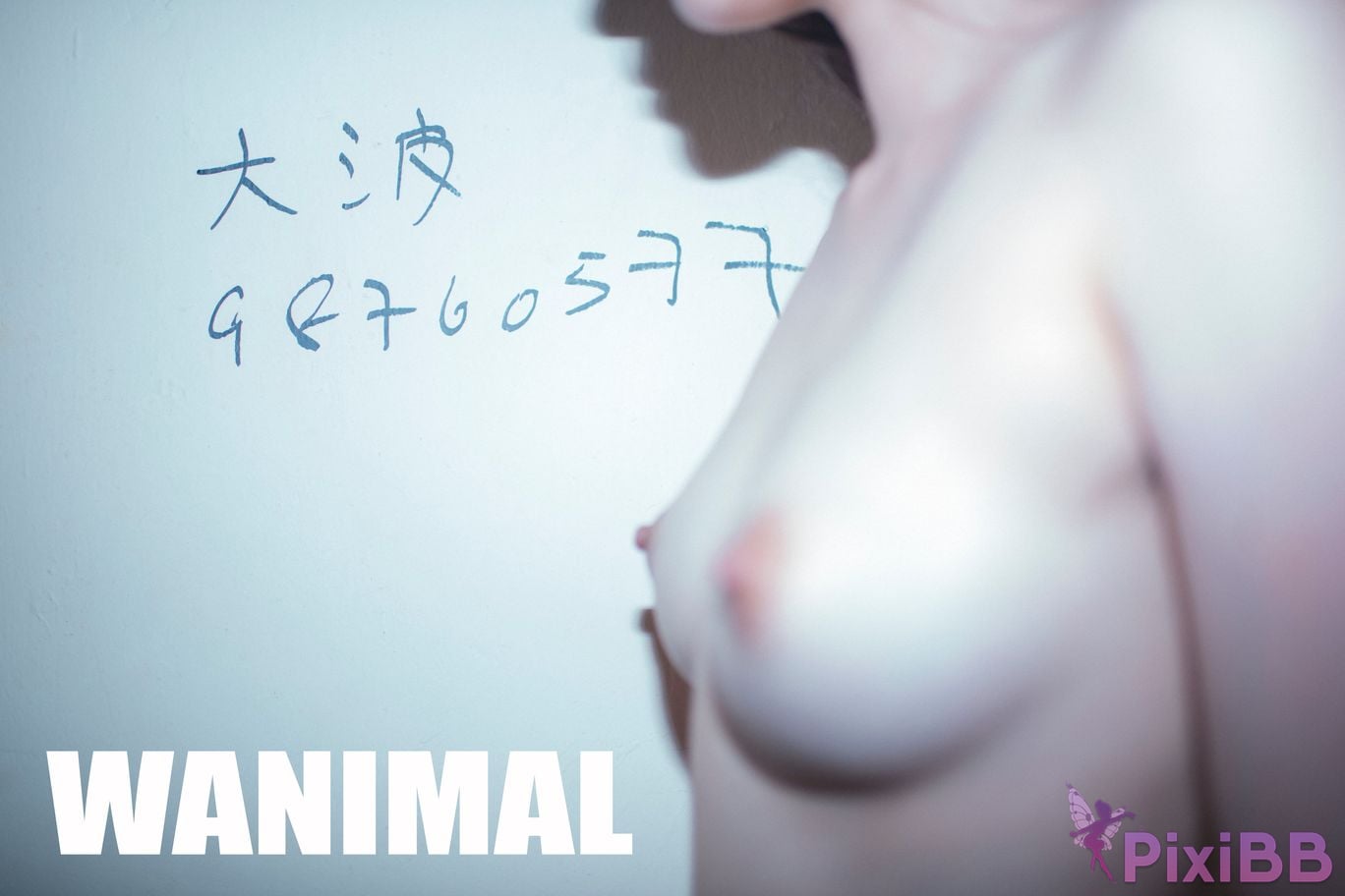 WANIMAL Wang Dong VIP Set of pictures Official product No.03 PixiBB.COM 100